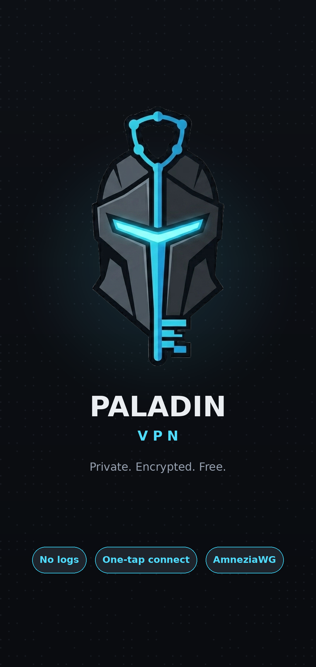 ReVoltVPN splash screen